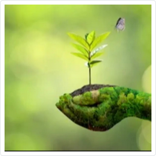 Fund Image